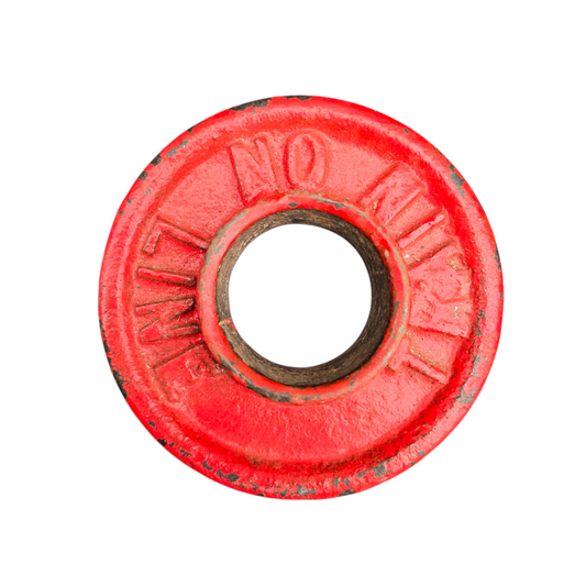 RA 8871  RARE TAFF VALE RAILWAY CAST IRON SIGNAL LEVER COLLAR